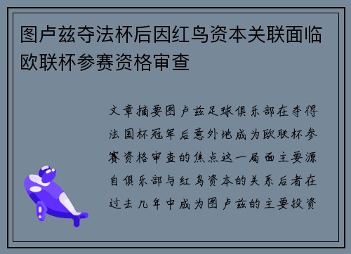 图卢兹夺法杯后因红鸟资本关联面临欧联杯参赛资格审查